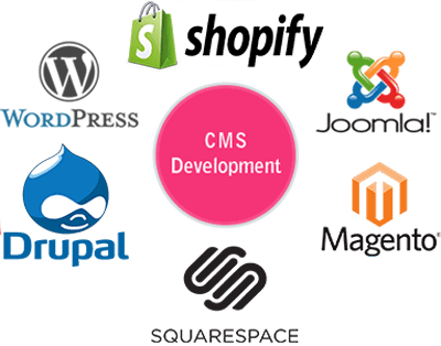 WordPress Development