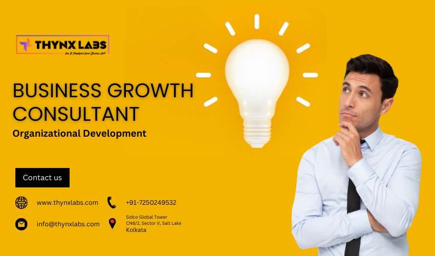 Business Growth Consultant
