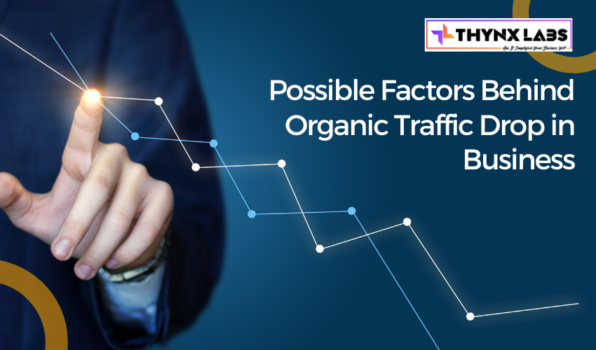 Organic Traffic Drop in Business