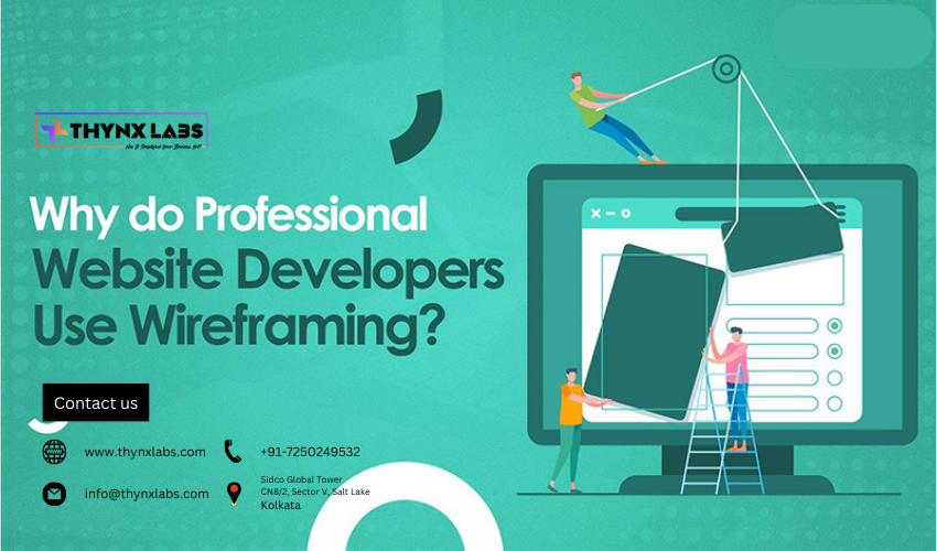 Why Professional Web Developers 